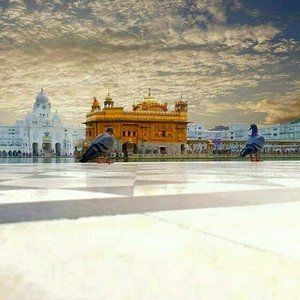 Meet your Posher, Lovepreet